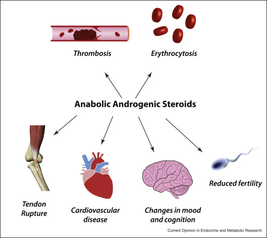 Anabolic steroids medical use