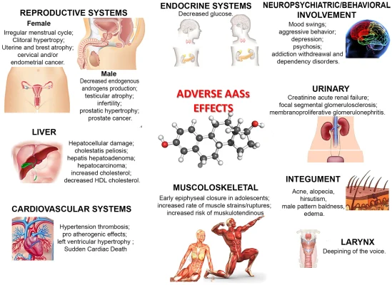 Anabolic steroids medical use